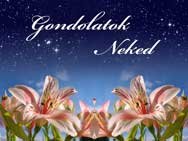 gondolatok neked